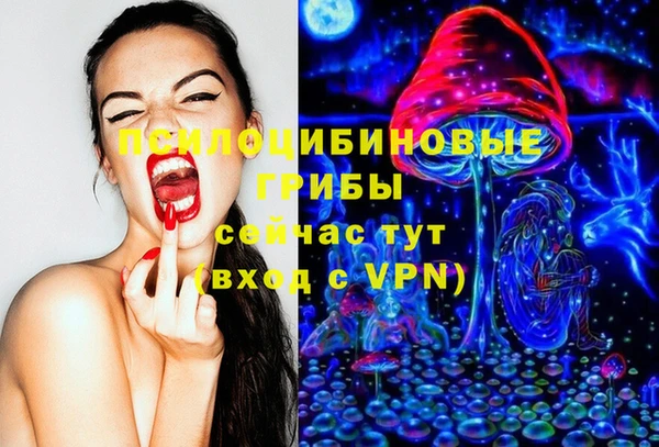 стаф Нефтегорск