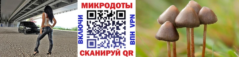 OMG зеркало  Онега  Псилоцибиновые грибы мухоморы 