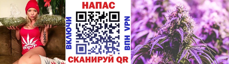 купить закладку  Онега  blacksprut зеркало  Каннабис тримм 
